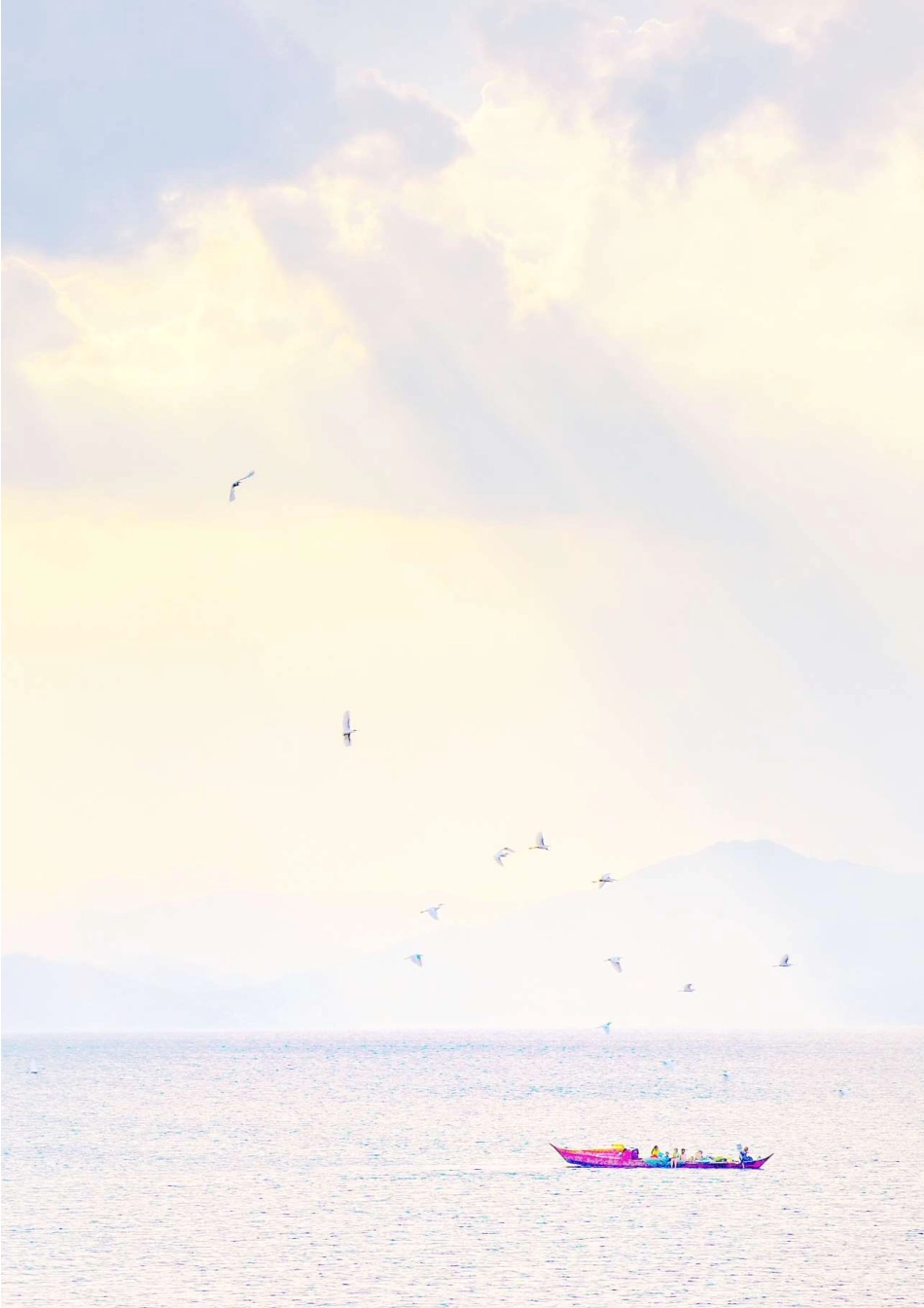 2021年中国生态环境年报.pdf_第2页