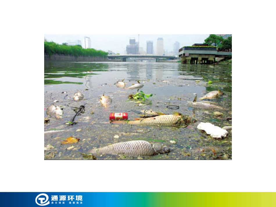 人类发展与环境保护.ppt_第2页