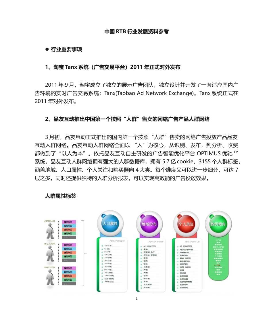 中国RTB行业资料.docx_第1页